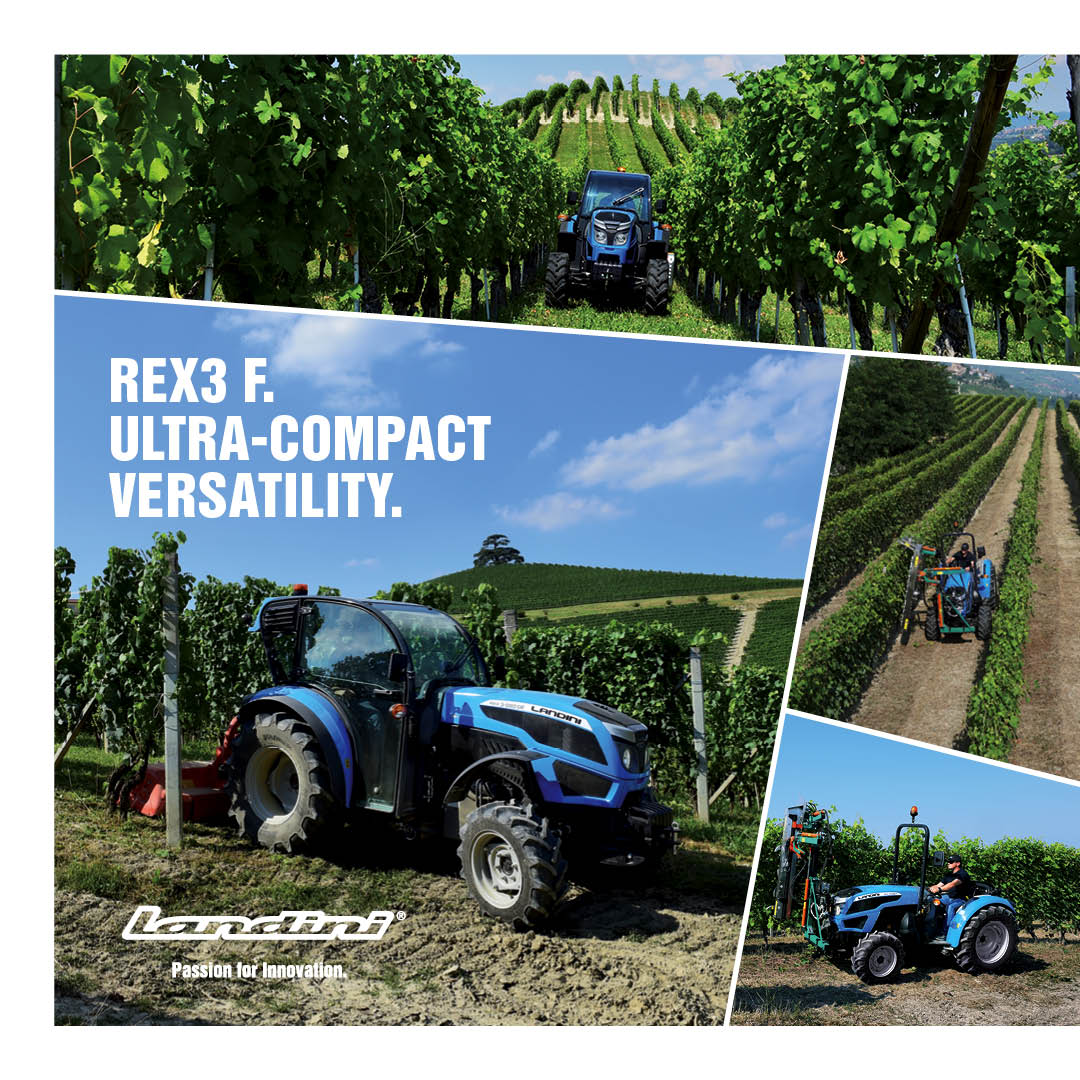 Rex3 F